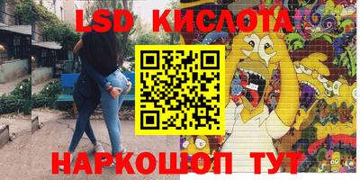 прущие крисы Аргун
