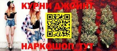 прущие крисы Аргун