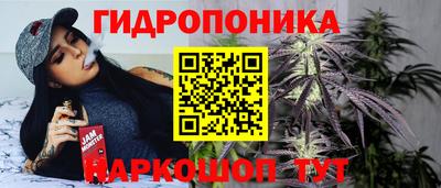 прущие крисы Аргун