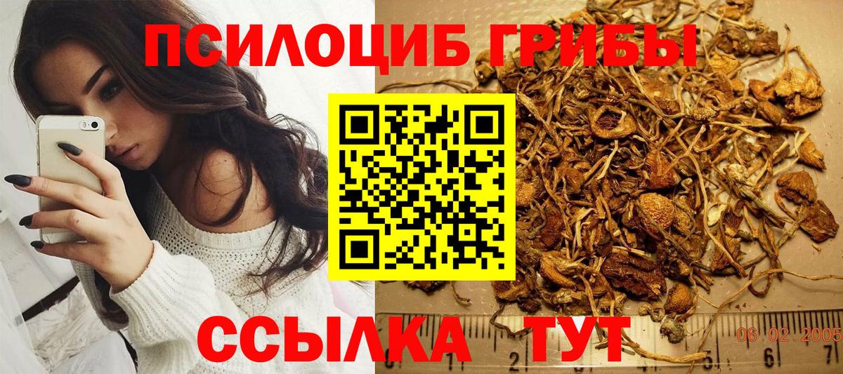 Псилоцибиновые грибы ЛСД  Вход с VPN  Белгород 
