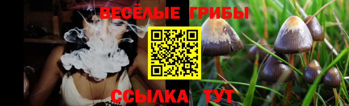 Псилоцибиновые грибы мицелий Белгород