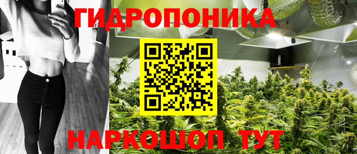 МАРИХУАНА Amnesia  Бошки Шишки White Widow  Вход с VPN  Белгород  Шишки марихуана марихуана  Шишки марихуана планчик 